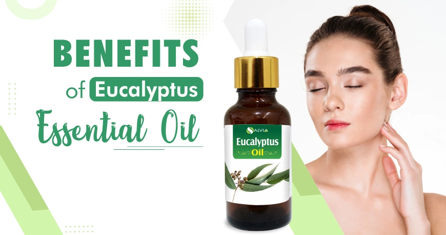 Eucalyptus Essential Oil Uses and Benefits - Holistic Oils