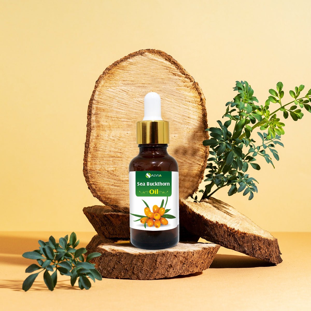 Salvia Natural Carrier Oils Sea Buckthorn (Hippophae Rhamnoides) Oil 100% Pure & Natural Carrier Oil Supports Wound Healing, Diminishes Scars, Improves Skin Elasticity