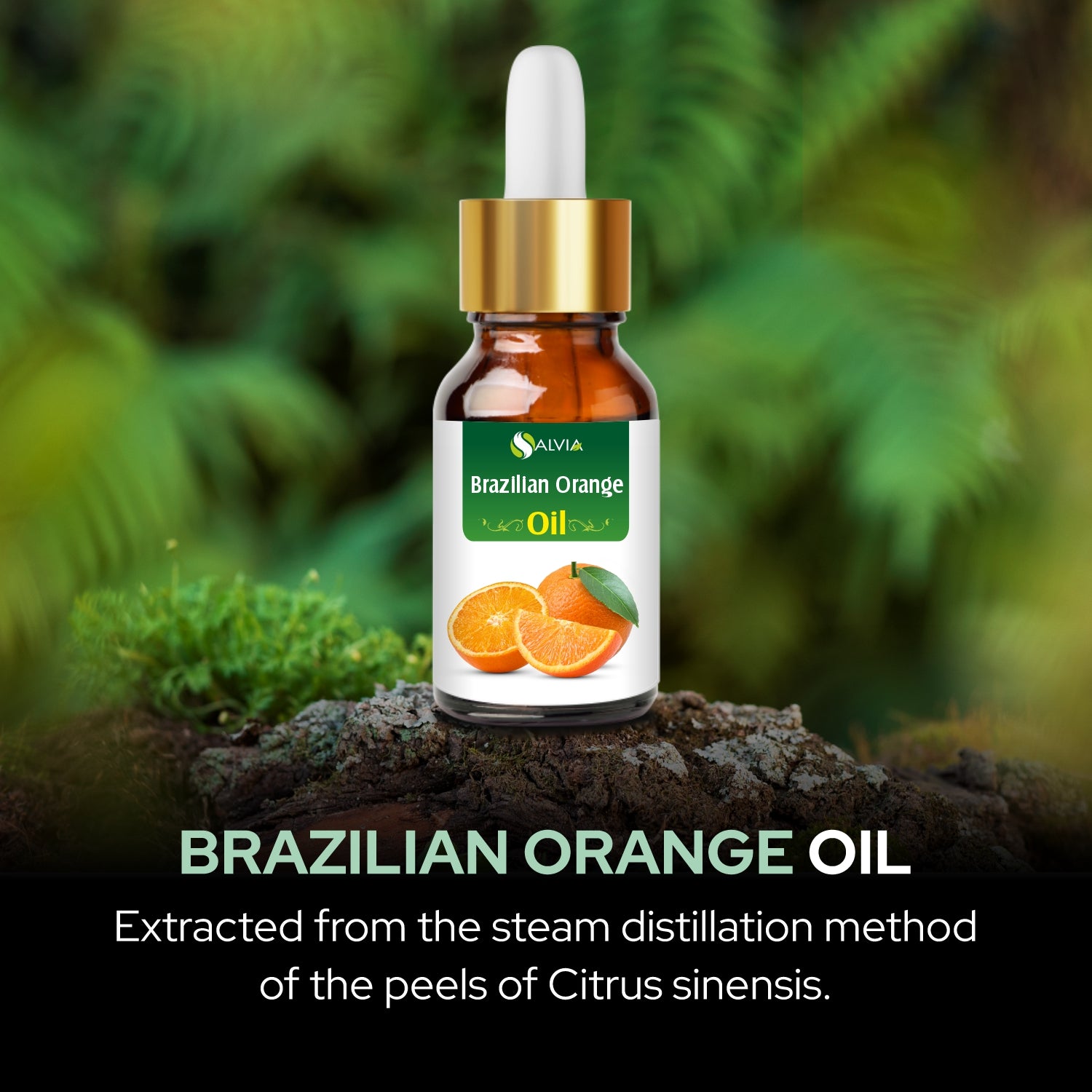 Salvia Natural Essential Oils,Dandruff,Greasy Oil,Anti Fungal,Anti-fungal Oil,Oil for Greasy Hair Brazillian Orange