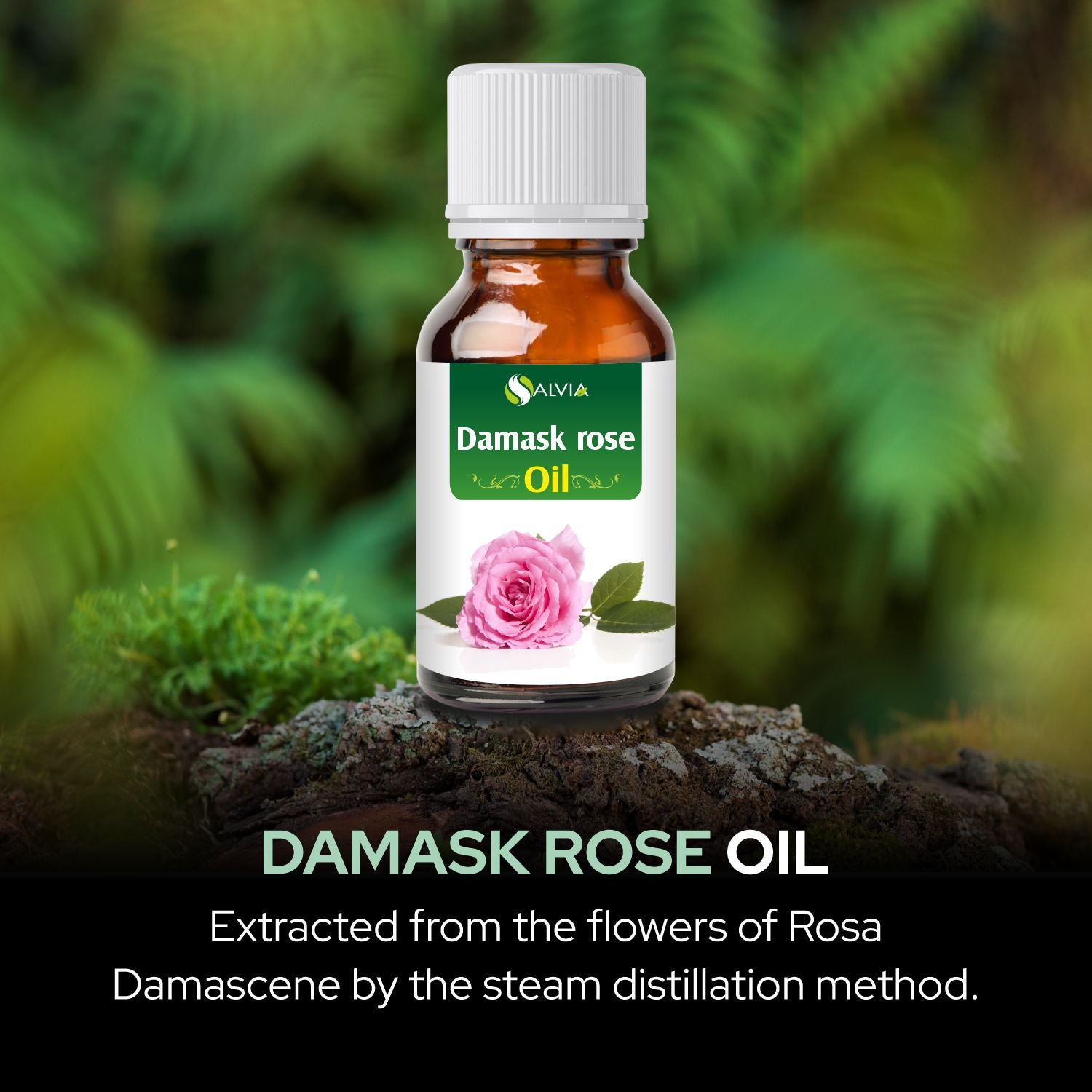 Salvia Natural Essential Oils,Dandruff,Greasy Oil,Anti Fungal,Anti-fungal Oil,Oil for Greasy Hair Damask Rose Oil