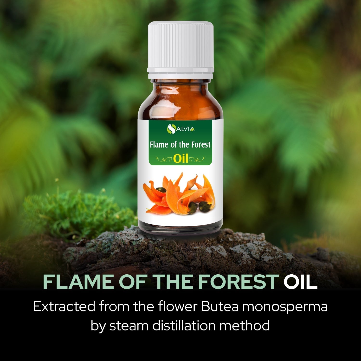 Salvia Natural Essential Oils,Dandruff,Greasy Oil,Anti Fungal,Anti-fungal Oil,Oil for Greasy Hair Flame of the Forest Oil