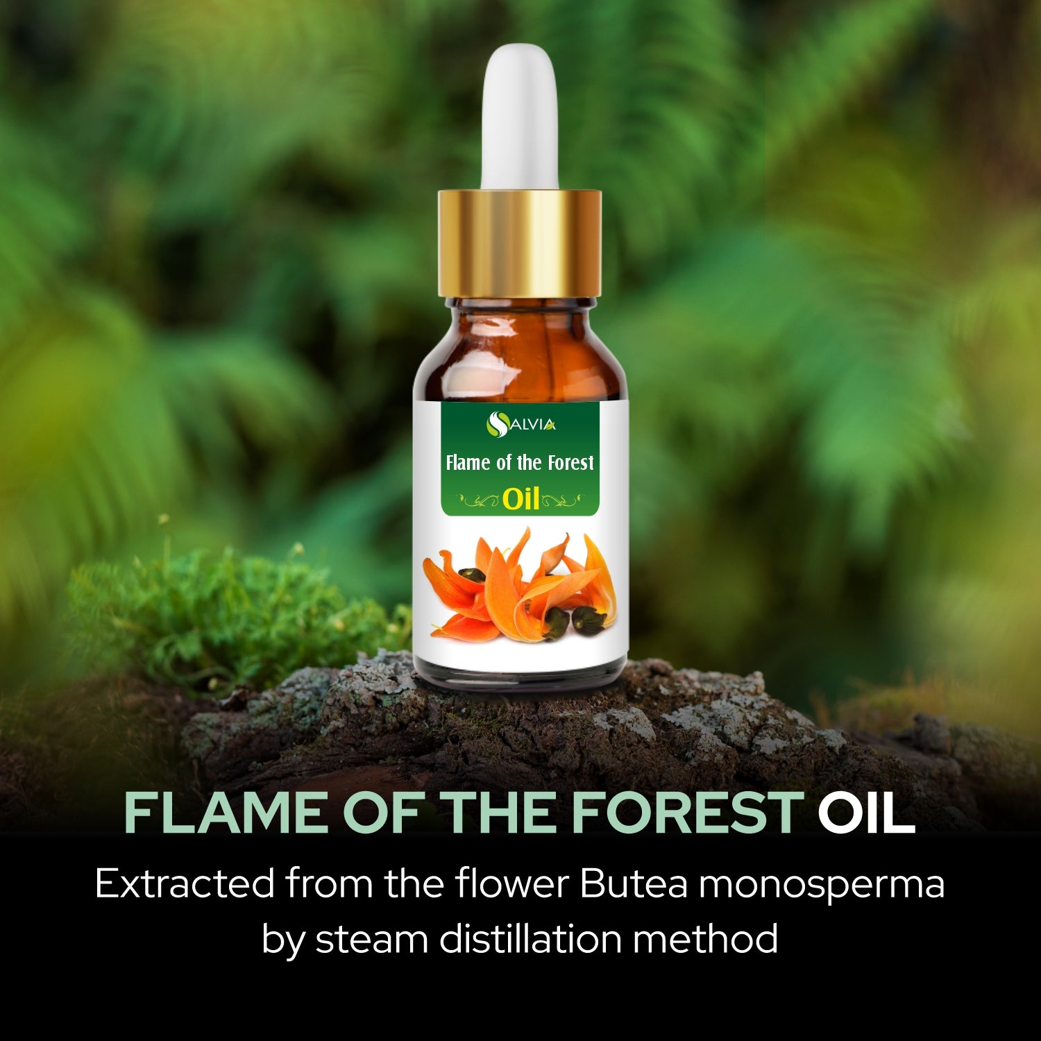 Salvia Natural Essential Oils,Dandruff,Greasy Oil,Anti Fungal,Anti-fungal Oil,Oil for Greasy Hair Flame of the Forest Oil