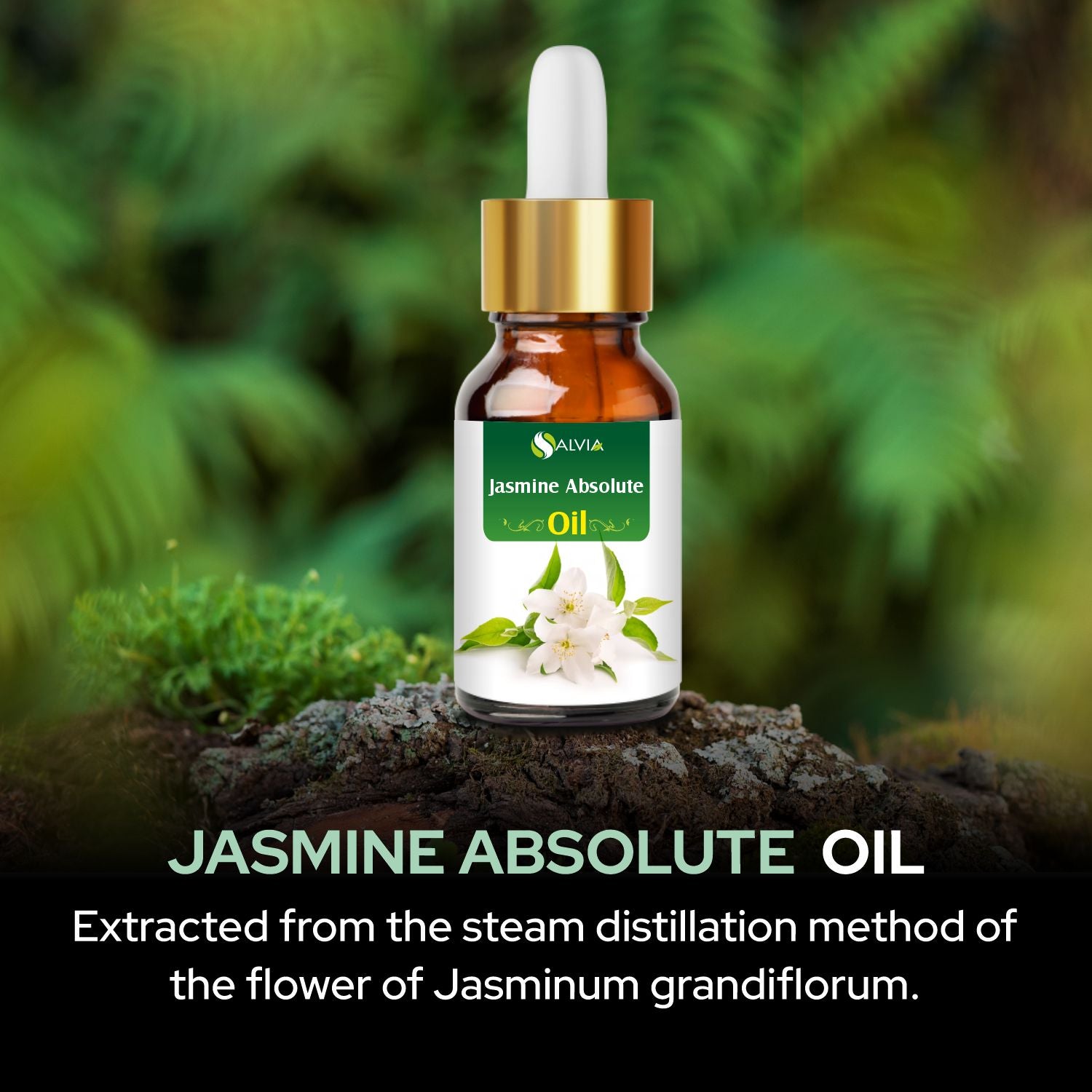 Salvia Natural Essential Oils,Dandruff,Greasy Oil,Anti Fungal,Anti-fungal Oil,Oil for Greasy Hair Jasmine Absolute Oil