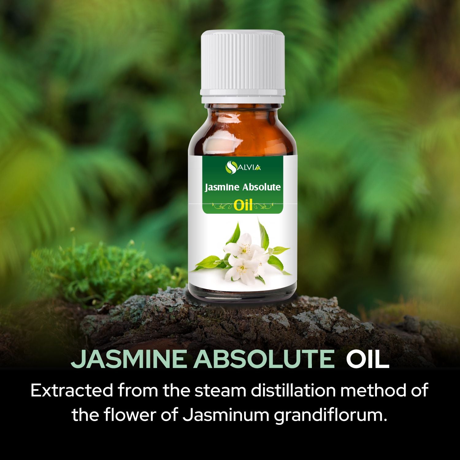 Salvia Natural Essential Oils,Dandruff,Greasy Oil,Anti Fungal,Anti-fungal Oil,Oil for Greasy Hair Jasmine Absolute Oil