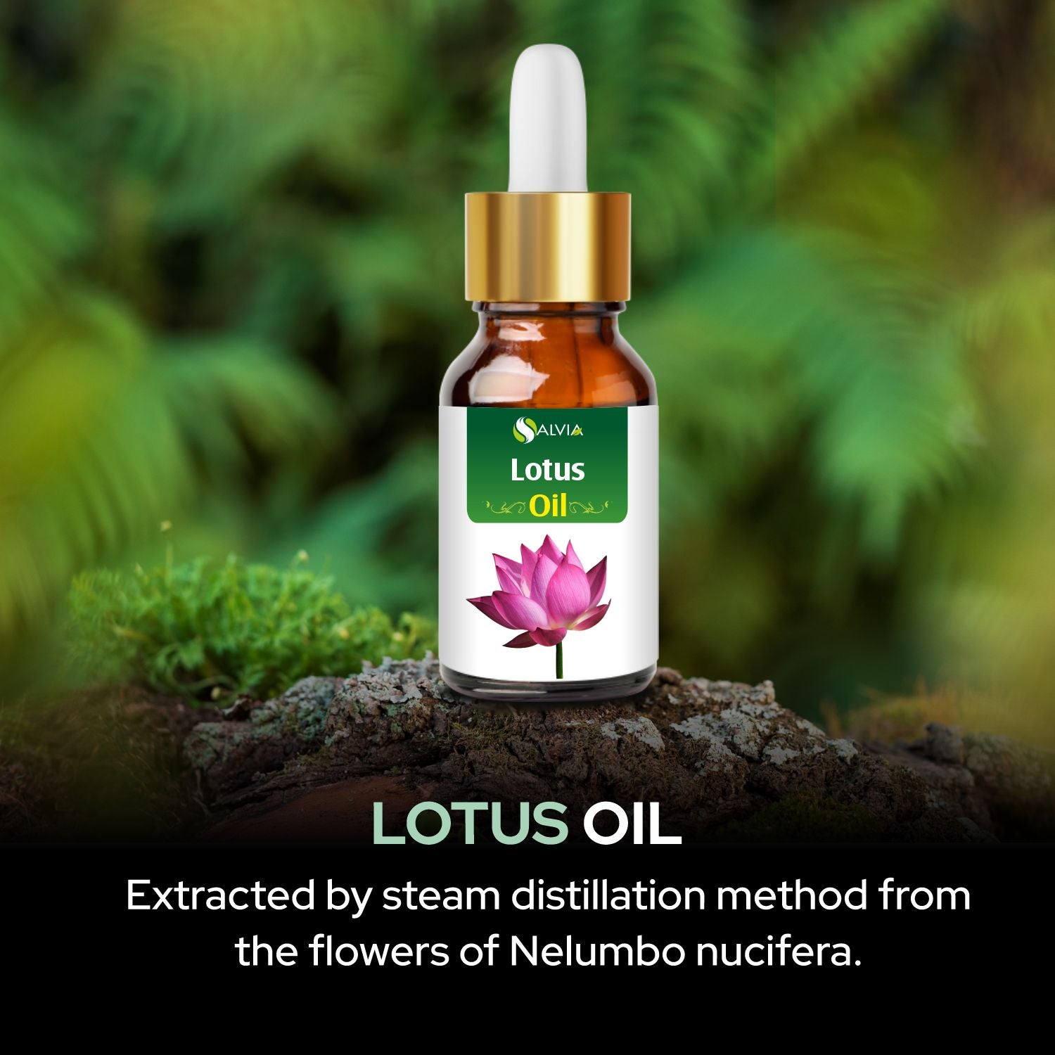 Salvia Natural Essential Oils,Dandruff,Greasy Oil,Anti Fungal,Anti-fungal Oil,Oil for Greasy Hair Lotus Oil