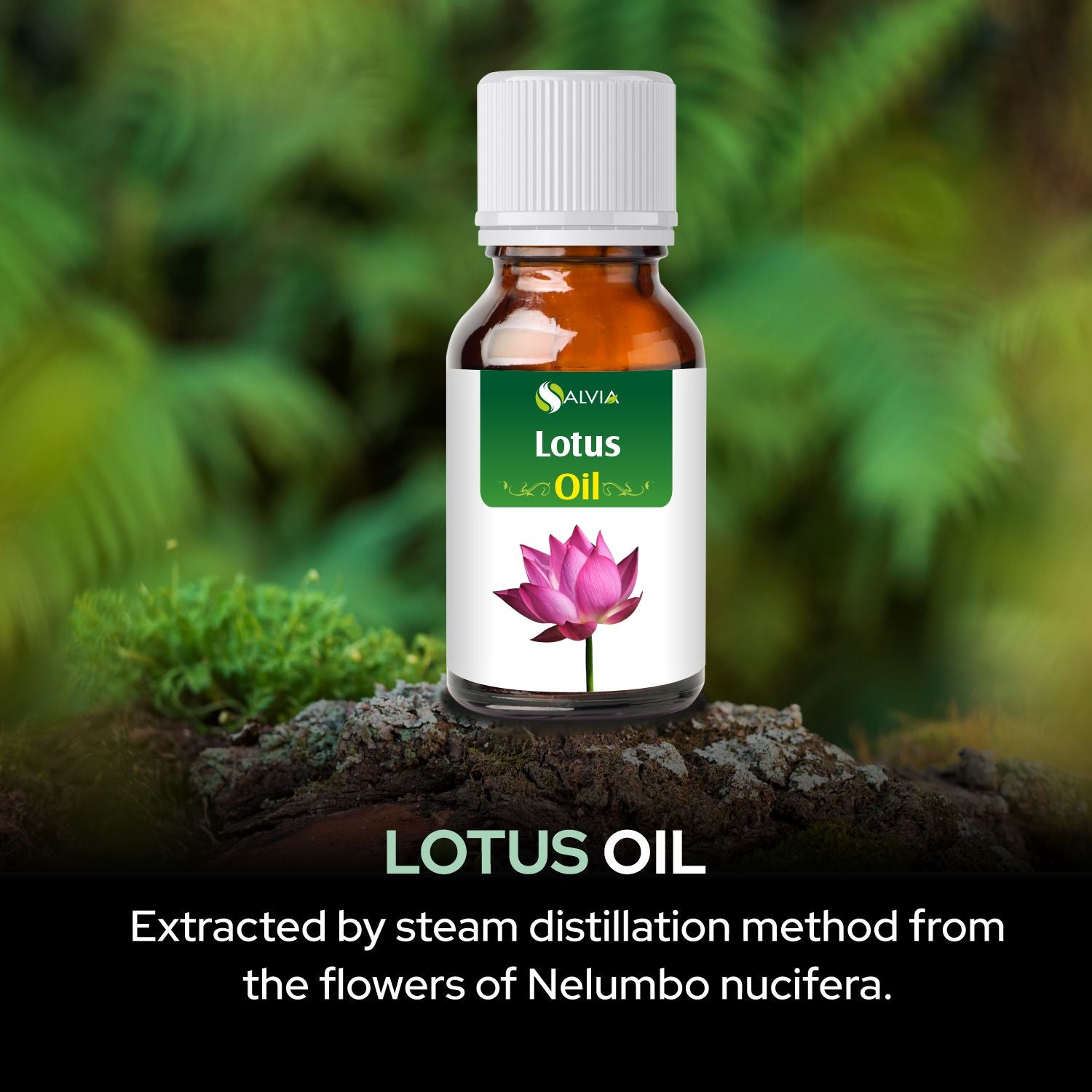 Salvia Natural Essential Oils,Dandruff,Greasy Oil,Anti Fungal,Anti-fungal Oil,Oil for Greasy Hair Lotus Oil