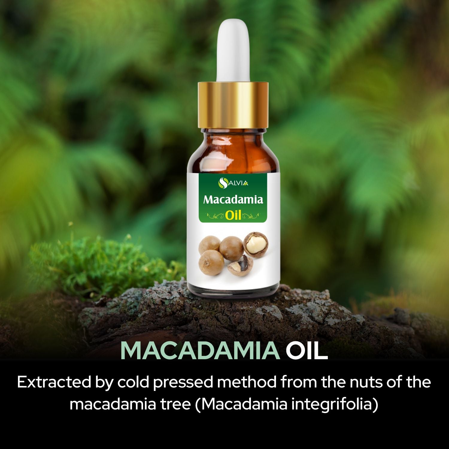 Salvia Natural Essential Oils,Dandruff,Greasy Oil,Anti Fungal,Anti-fungal Oil,Oil for Greasy Hair Macadamia Oil