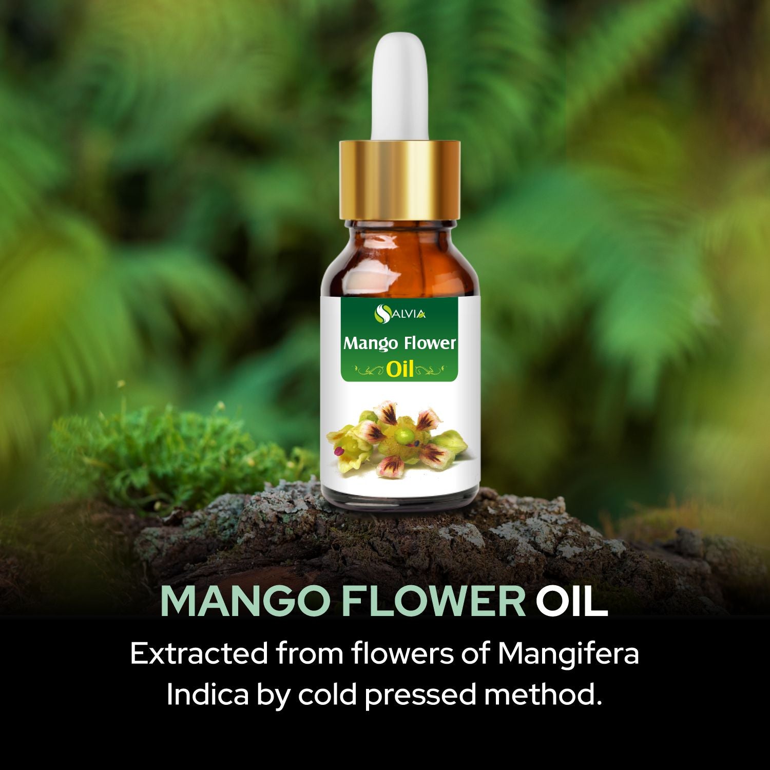 Salvia Natural Essential Oils,Dandruff,Greasy Oil,Anti Fungal,Anti-fungal Oil,Oil for Greasy Hair Mango Flower Oil