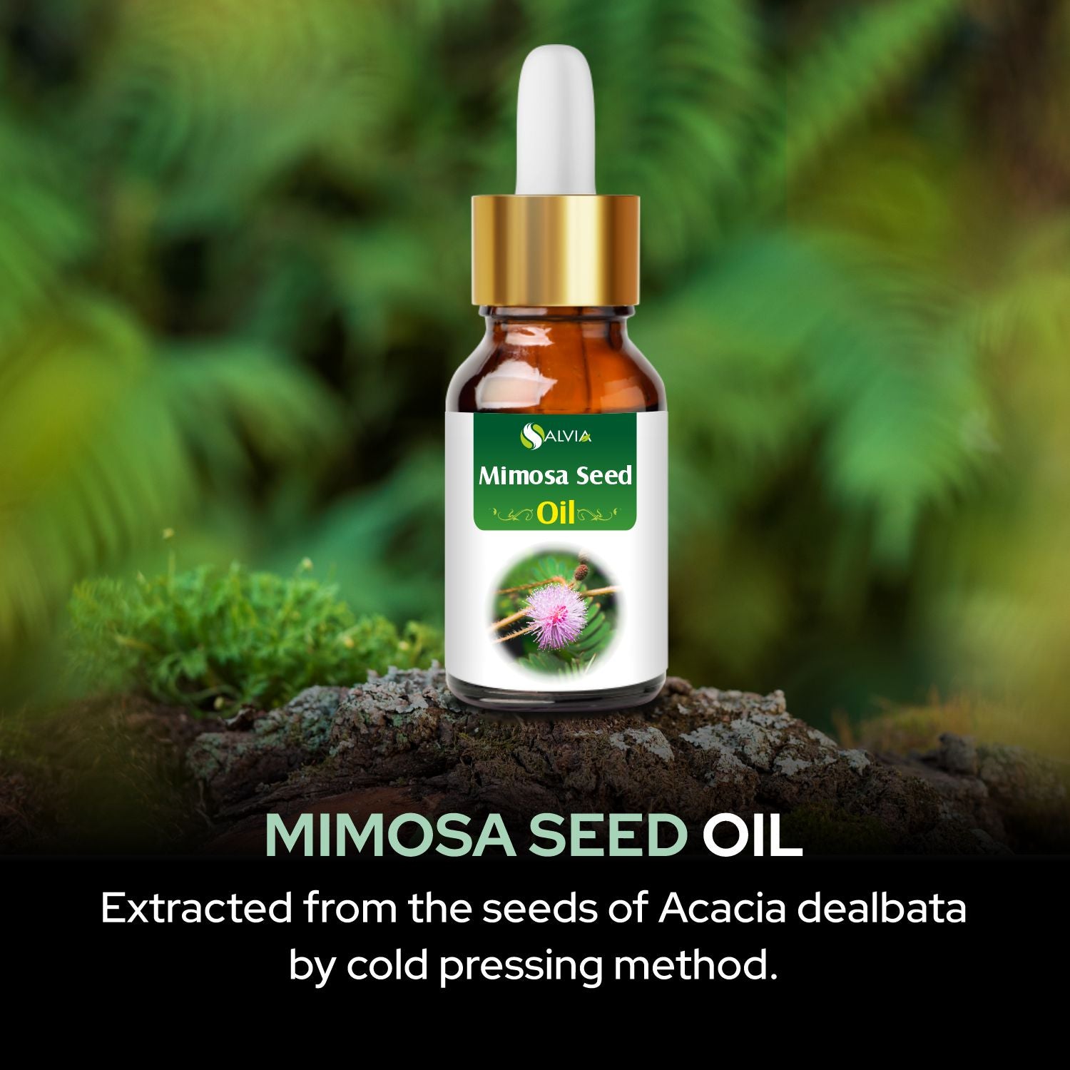 Salvia Natural Essential Oils,Dandruff,Greasy Oil,Anti Fungal,Anti-fungal Oil,Oil for Greasy Hair Mimosa Seed Oil