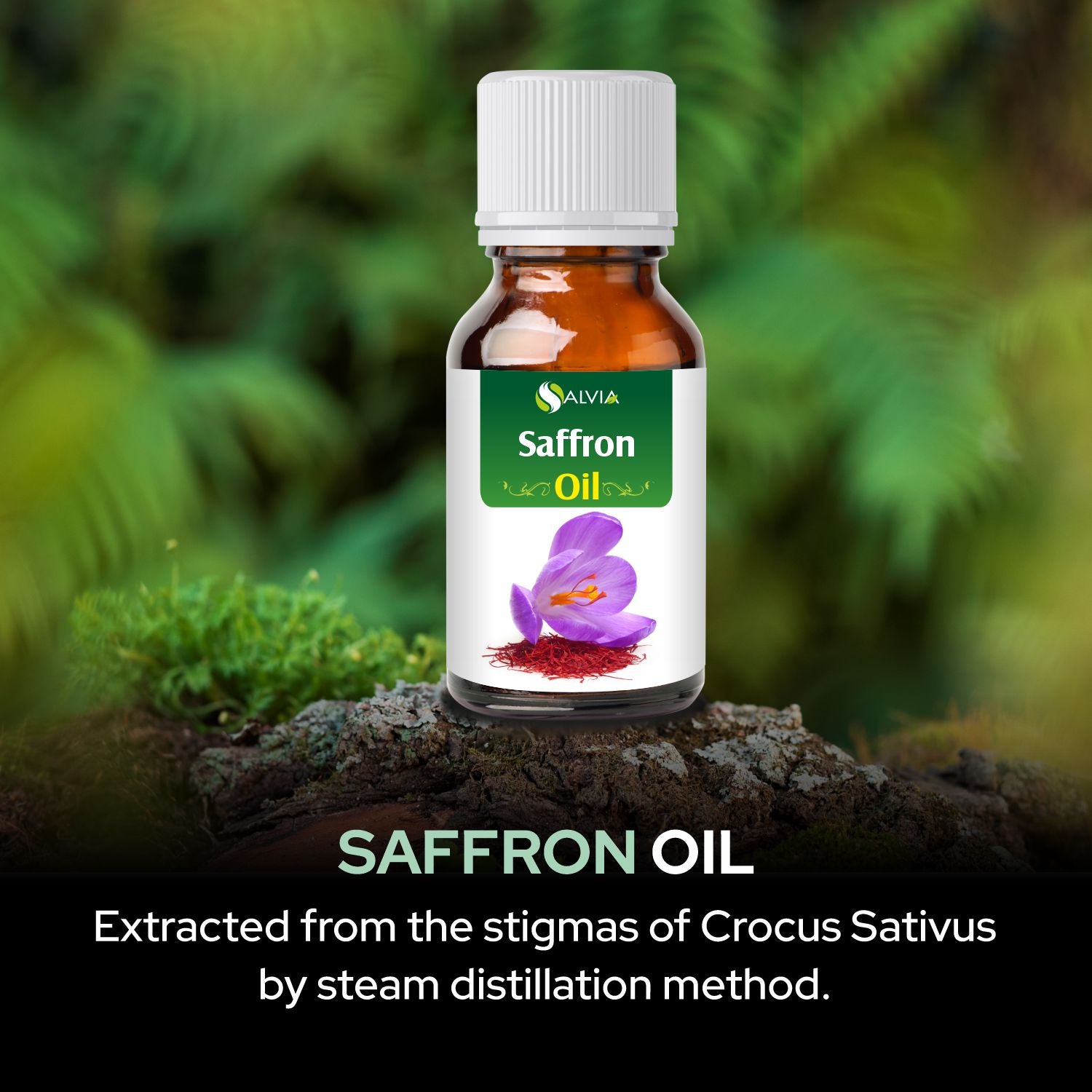 Salvia Natural Essential Oils,Dandruff,Greasy Oil,Anti Fungal,Anti-fungal Oil,Oil for Greasy Hair Saffron Oil