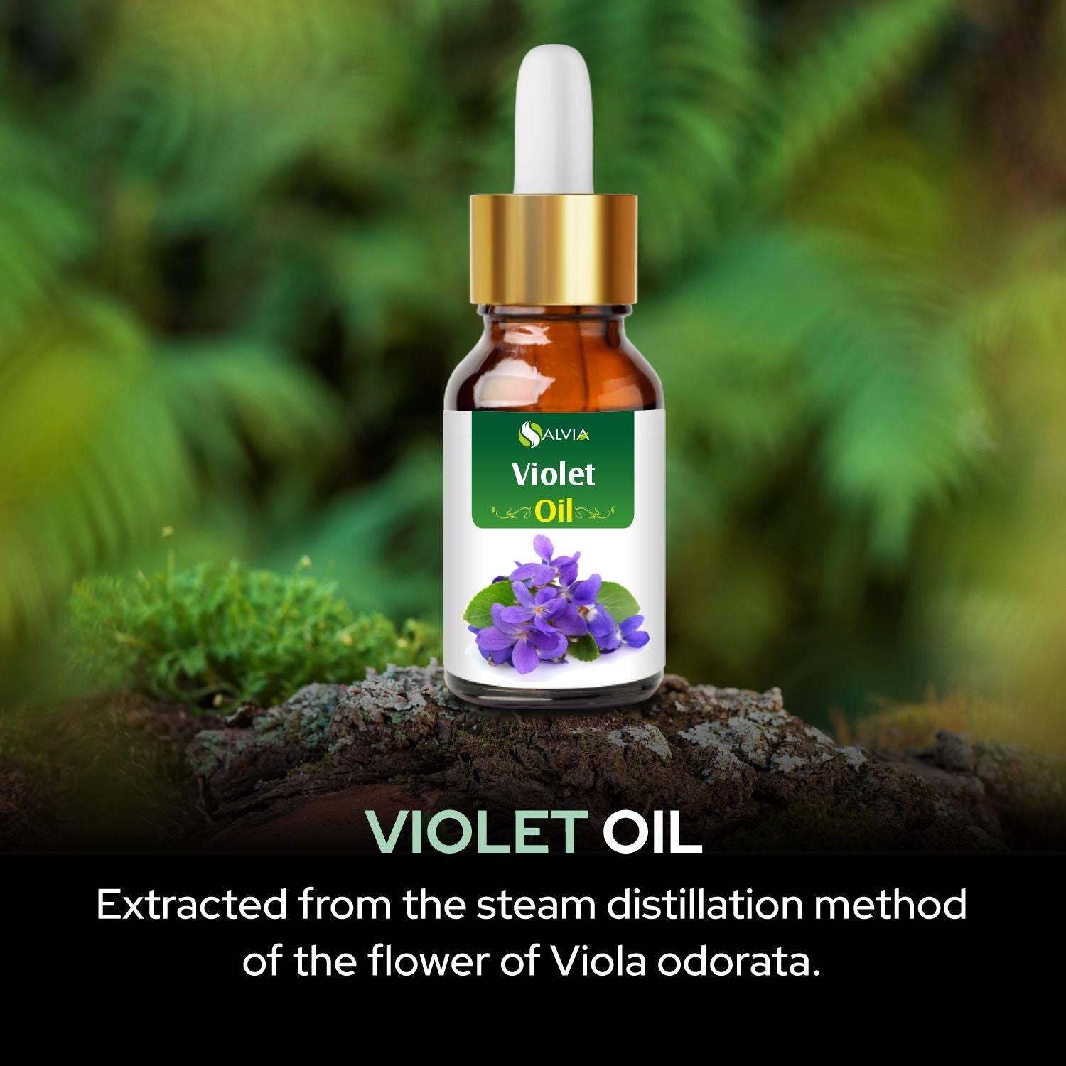 Salvia Natural Essential Oils,Dandruff,Greasy Oil,Anti Fungal,Anti-fungal Oil,Oil for Greasy Hair Violet Oil