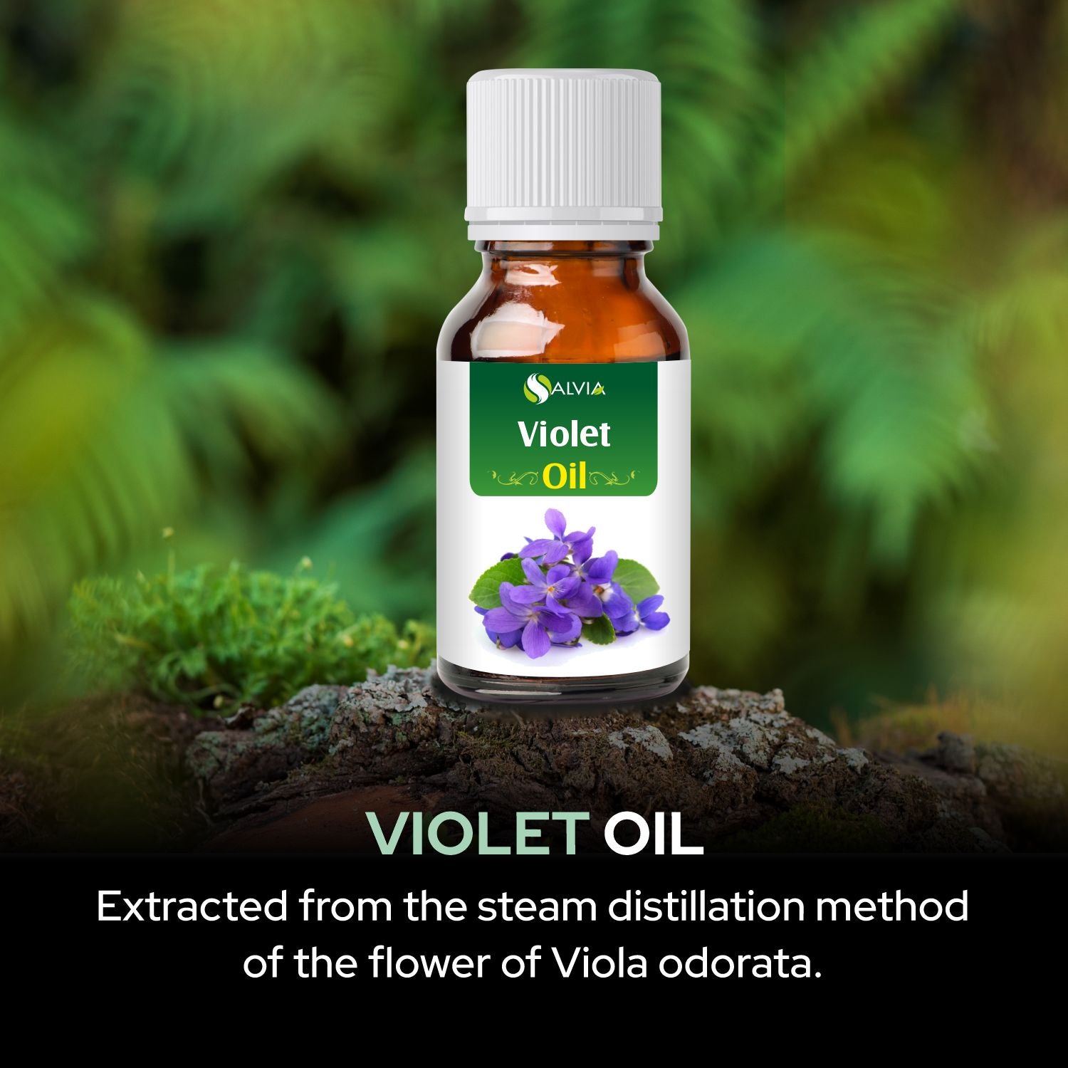 Salvia Natural Essential Oils,Dandruff,Greasy Oil,Anti Fungal,Anti-fungal Oil,Oil for Greasy Hair Violet Oil