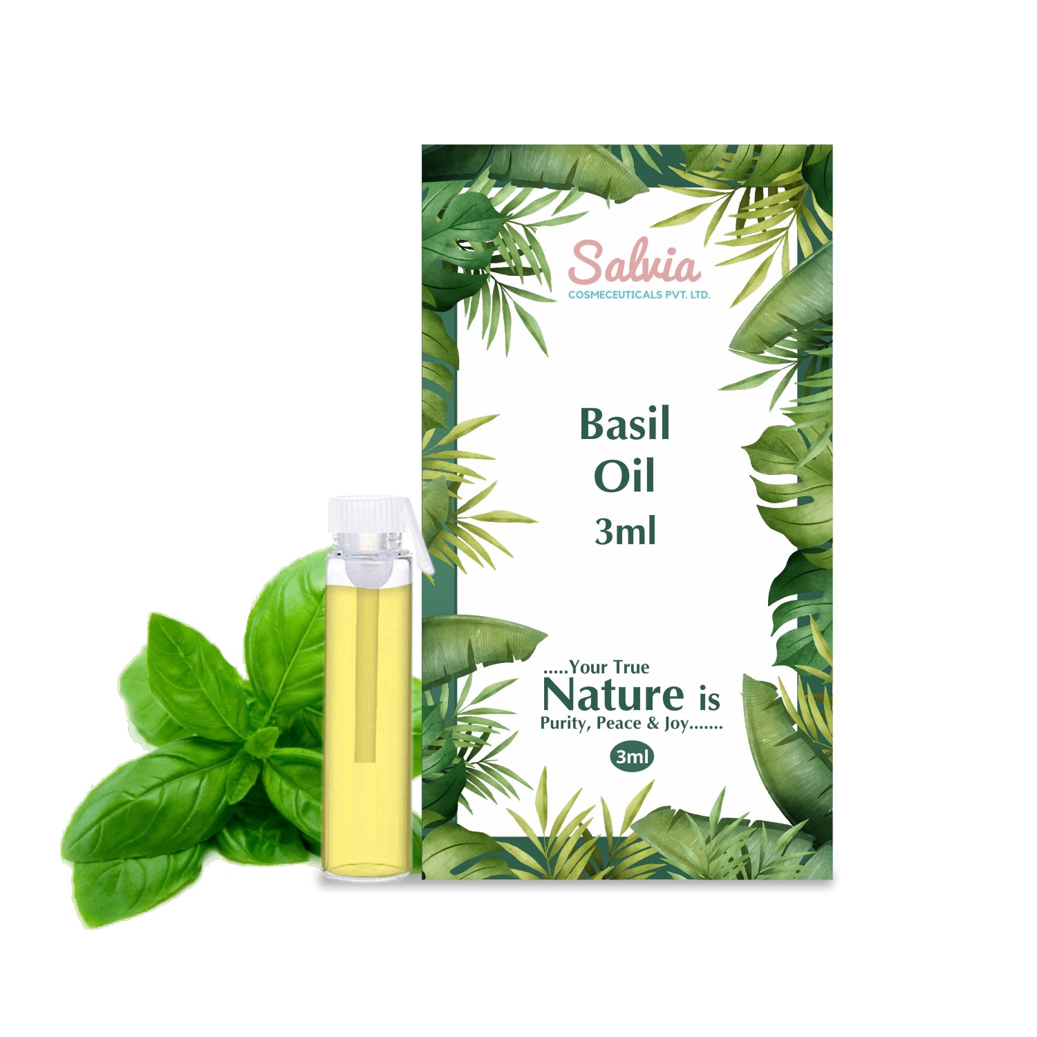 shoprythmindia Free Samples Basil Oil  Sample