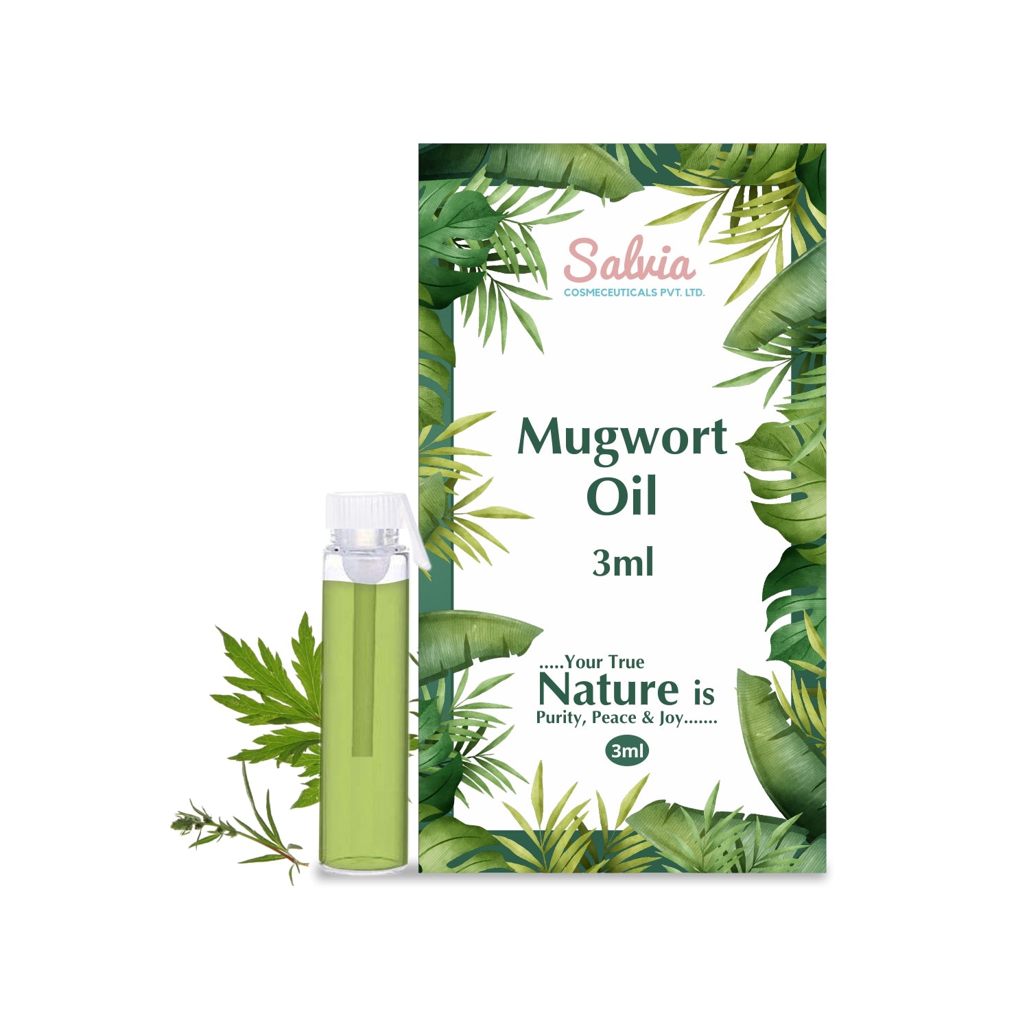 shoprythmindia Free Samples Mugwort Oil Sample