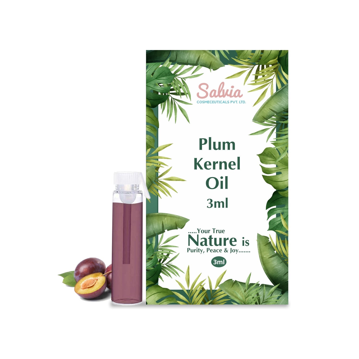 shoprythmindia Free Samples Plum Kernel Oil  Sample