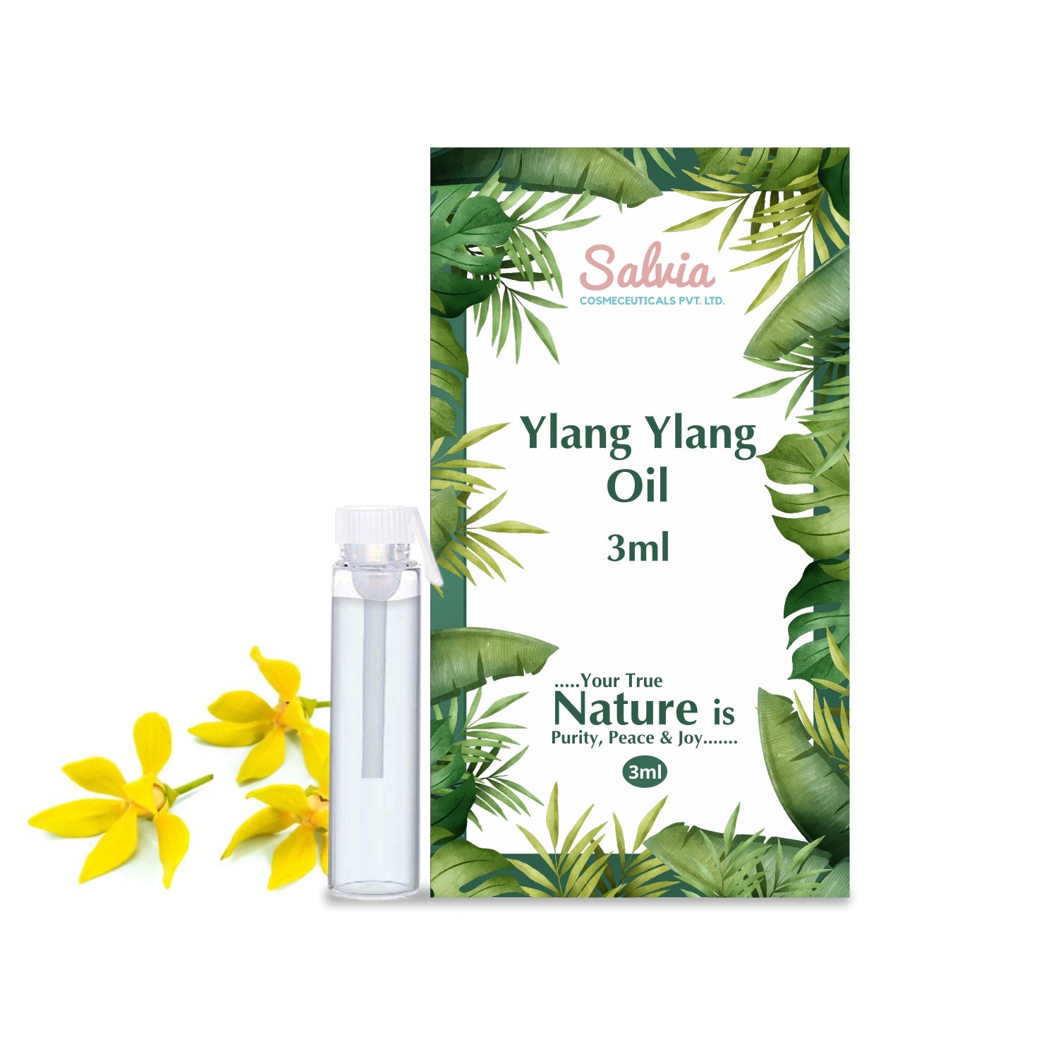 shoprythmindia Free Samples Ylang Ylang Oil Sample